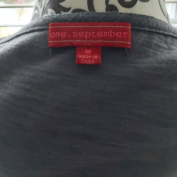 One September Blue Striped Gray Two Toned Tank Top - Picture 6 of 9